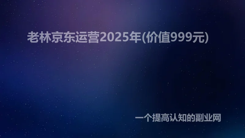 老林京东运营2025年(价值999元)-创分享