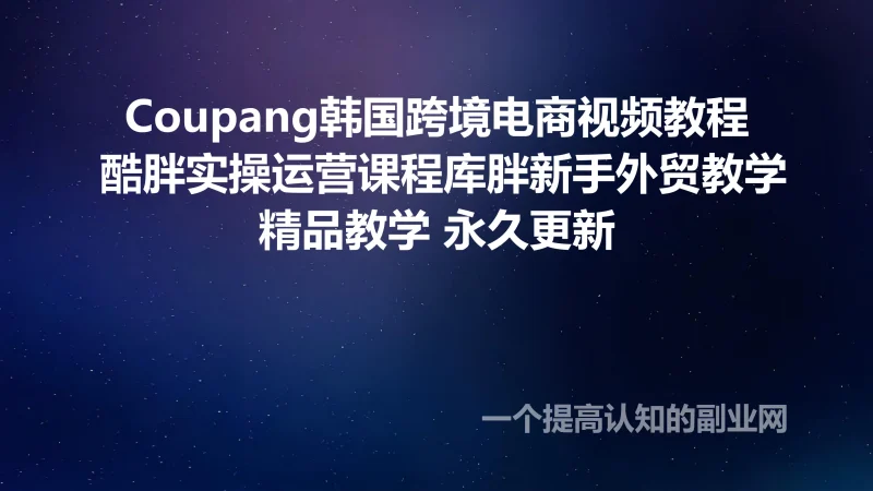 Coupang韩国跨境电商视频教程 酷胖实操运营课程库胖新手外贸教学-创分享