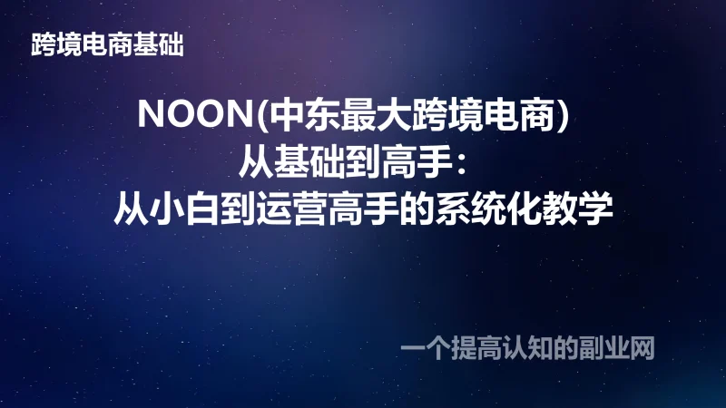 NOON(中东最大跨境电商）从基础到高手：从小白到运营高手的系统化教学-创分享