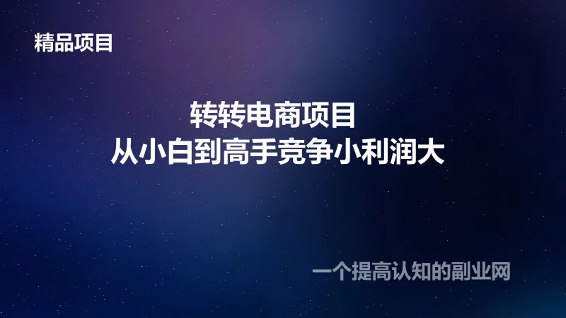 转转电商项目 从小白到高手竞争小利润大-创分享